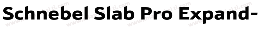 Schnebel Slab Pro Expand字体转换